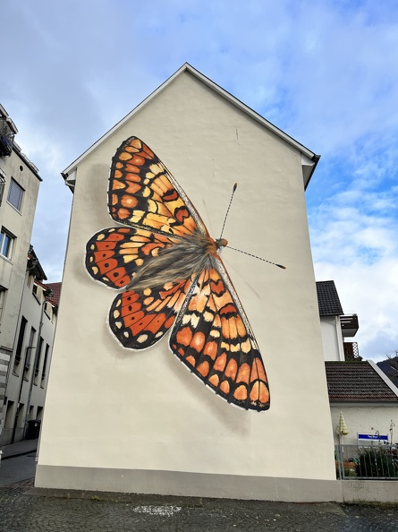 23-01-09 14-37-33 3882.jpg